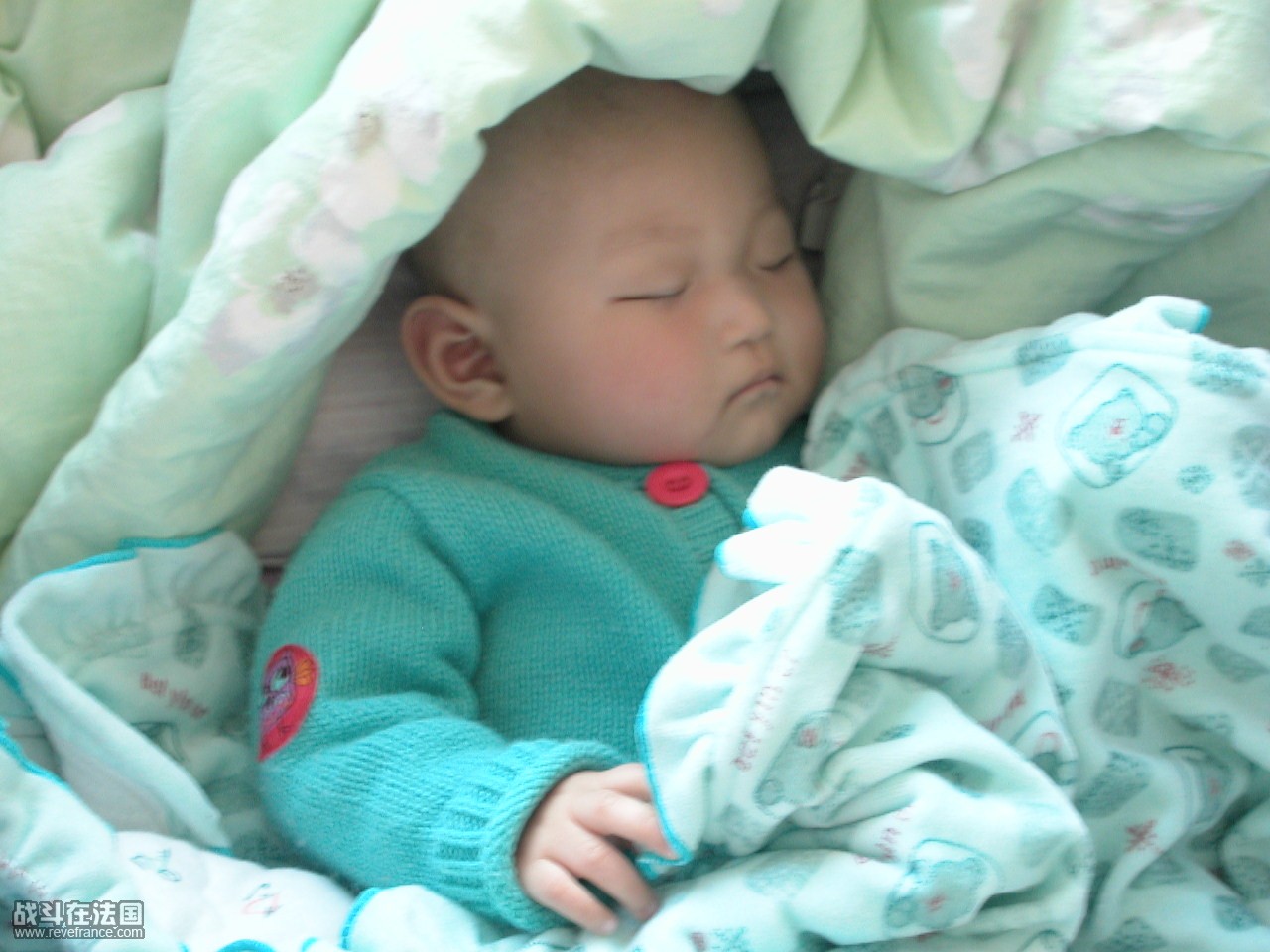 DSCN1796.JPG