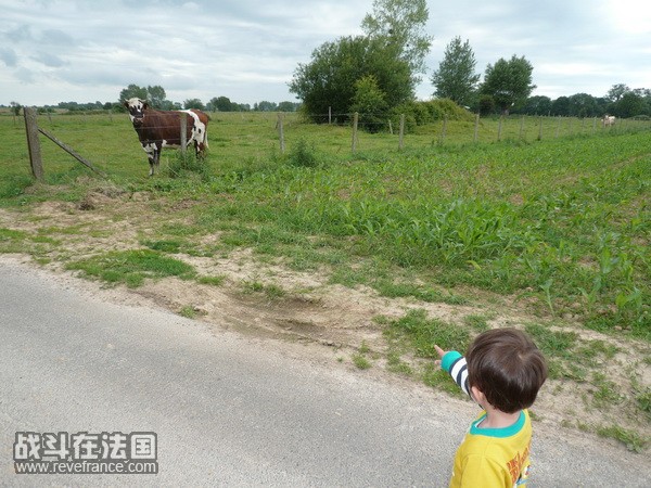 P1030771_调整大小.JPG