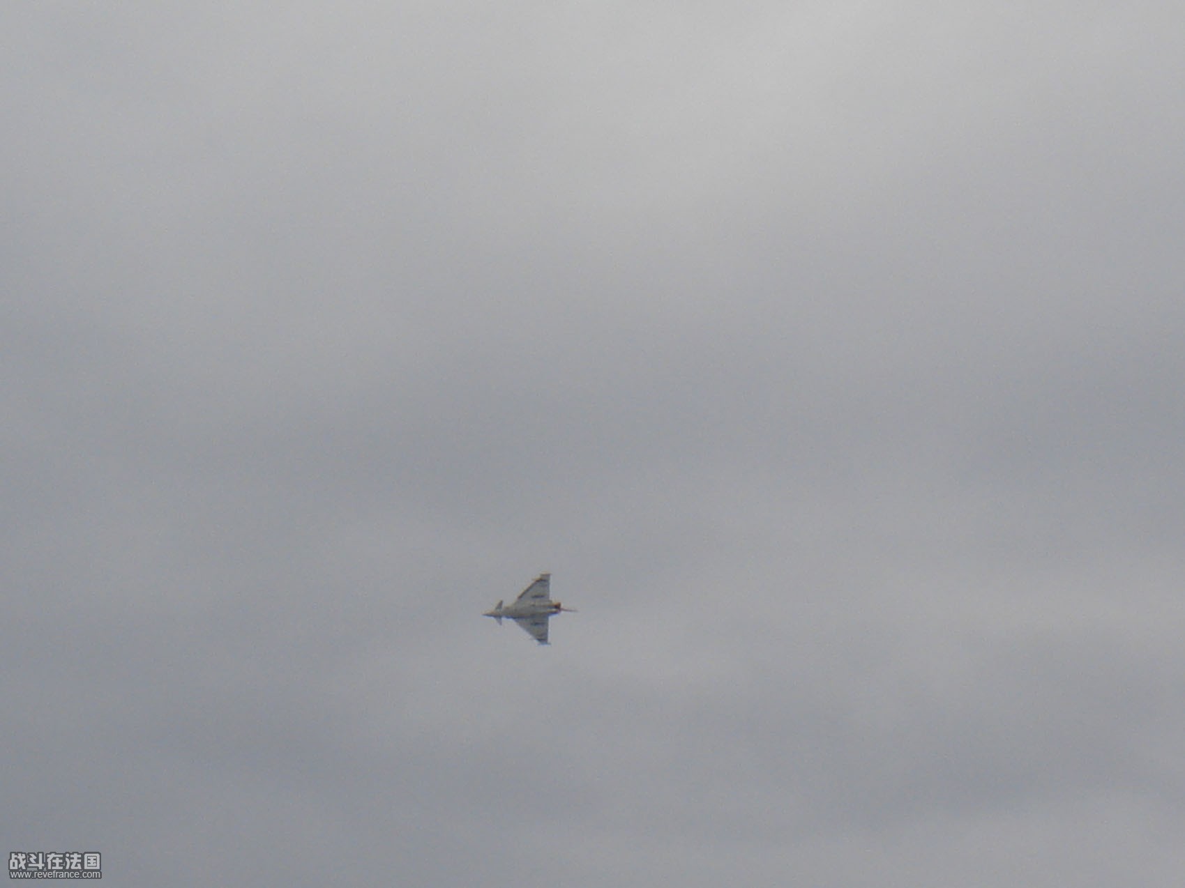 DSC04970.jpg