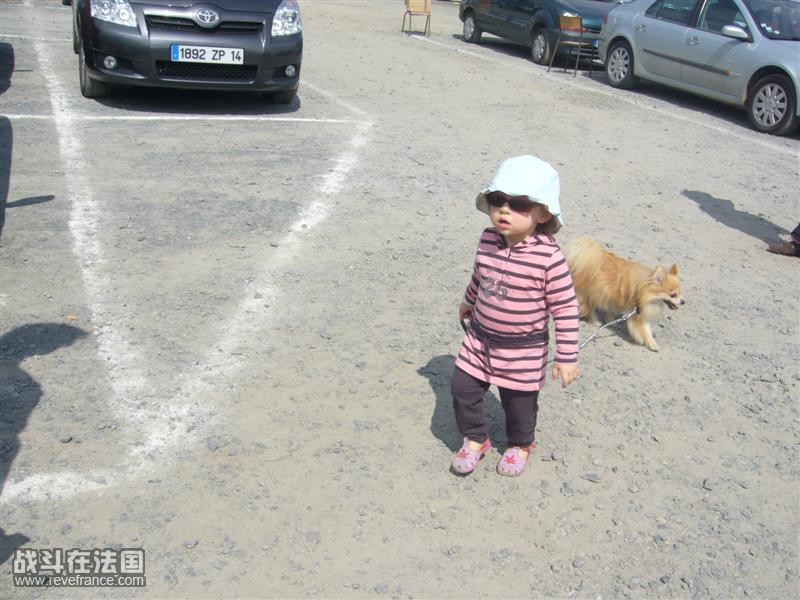 P1060884 (Medium).JPG