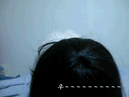 小狗.gif