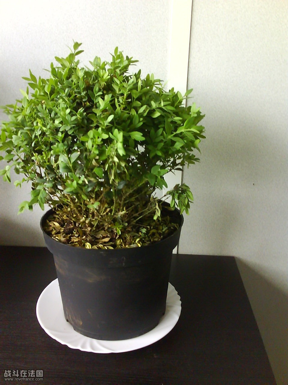 DSC00402.jpg