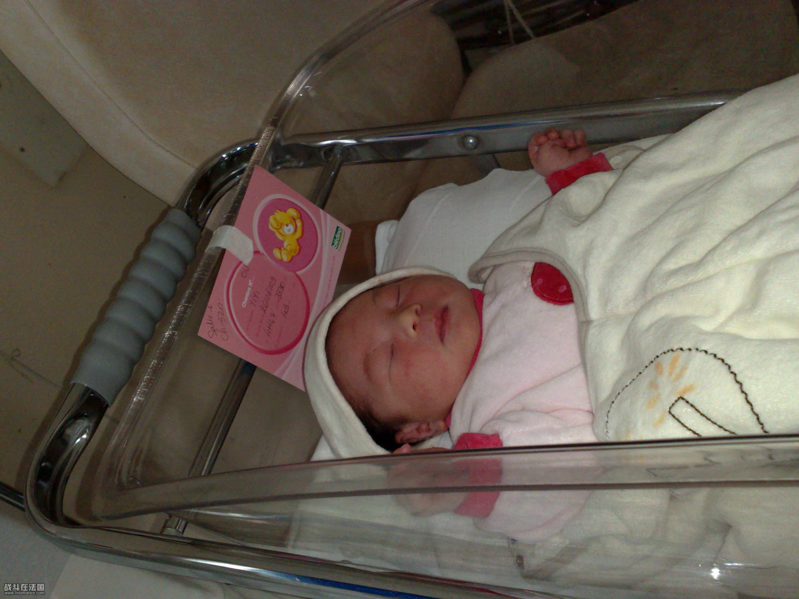 26062009025.JPG