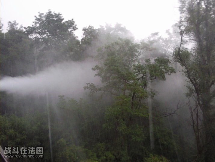 雨.jpg