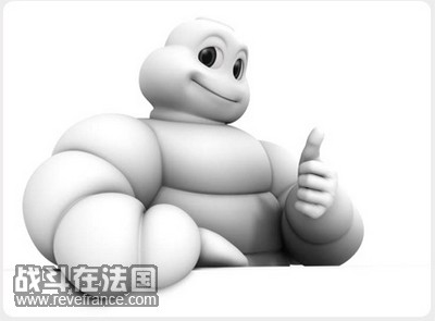 f1_michelin_1212955371.jpg