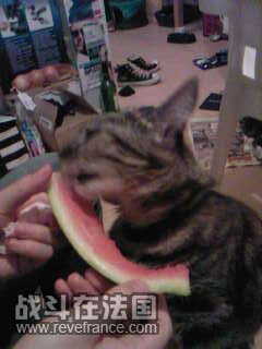 SP_A0329.jpg