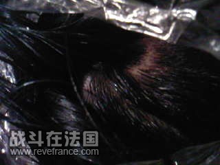 SP_A0326.jpg