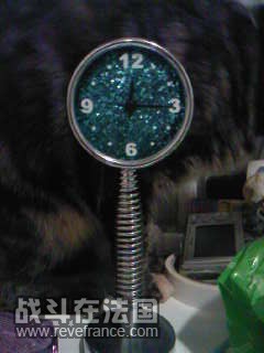 SP_A0342.jpg