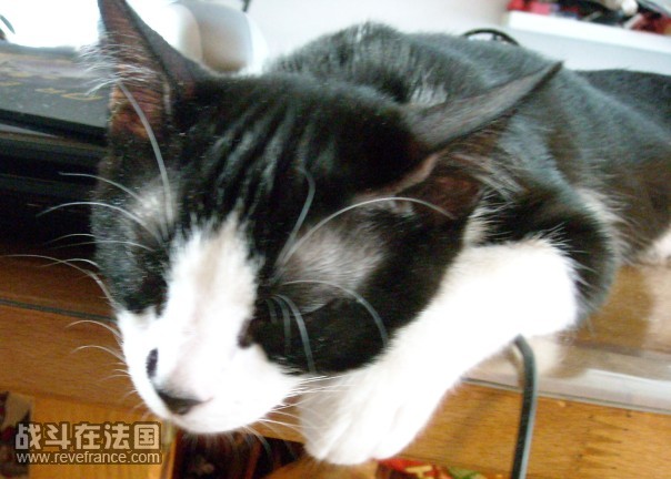 DSCN1358.JPG