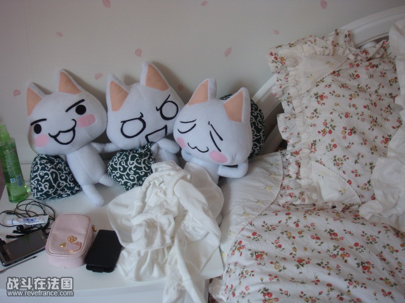 DSC07418_调整大小.JPG