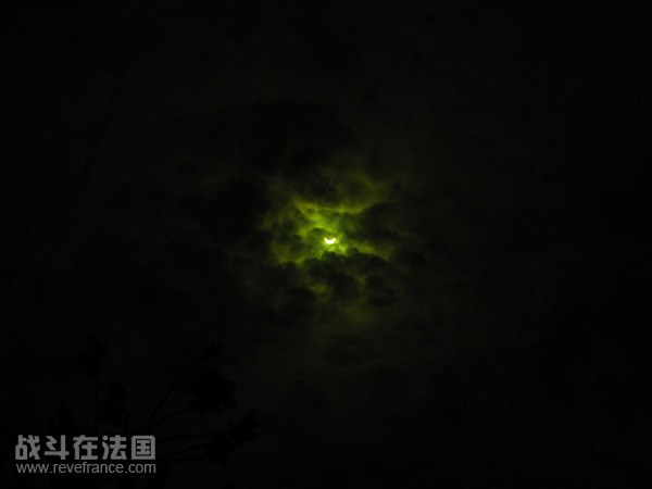 IMG_1587_1.jpg
