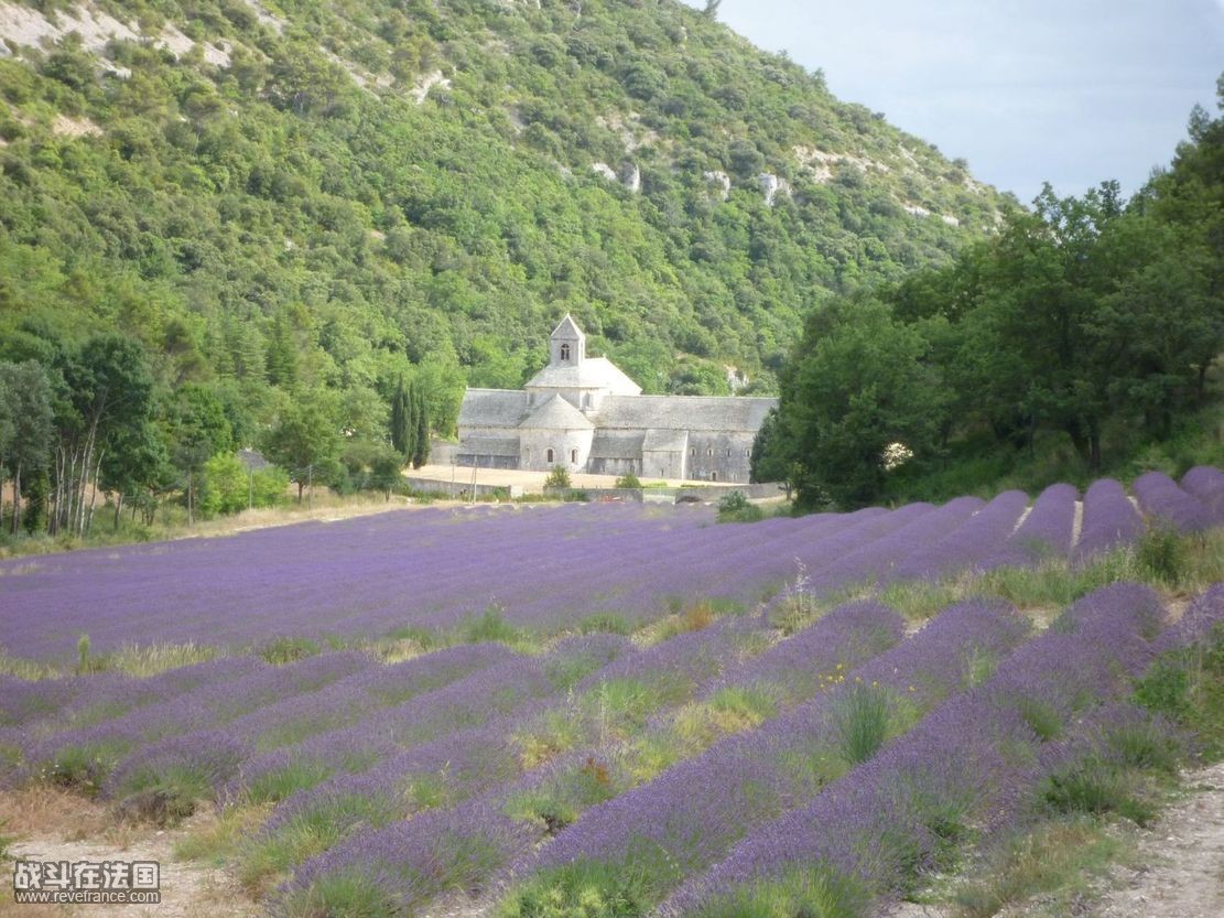 Abbaye de Sénanque-04.JPG