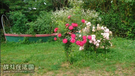 花船.jpg