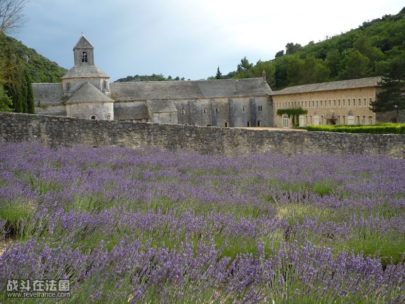 Abbaye de Sénanque-08.JPG