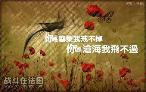 200907300429251746.gif