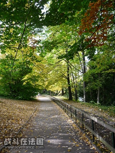 P1000485.jpg