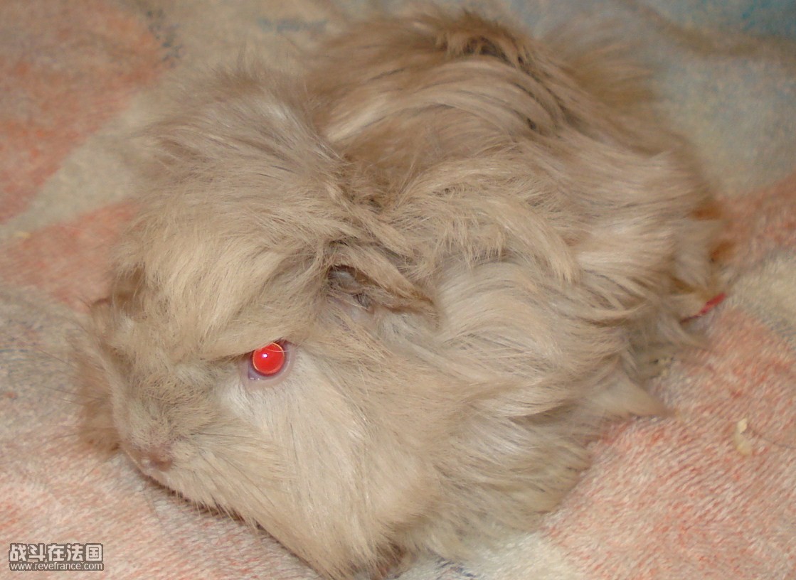 DSC01010.JPG