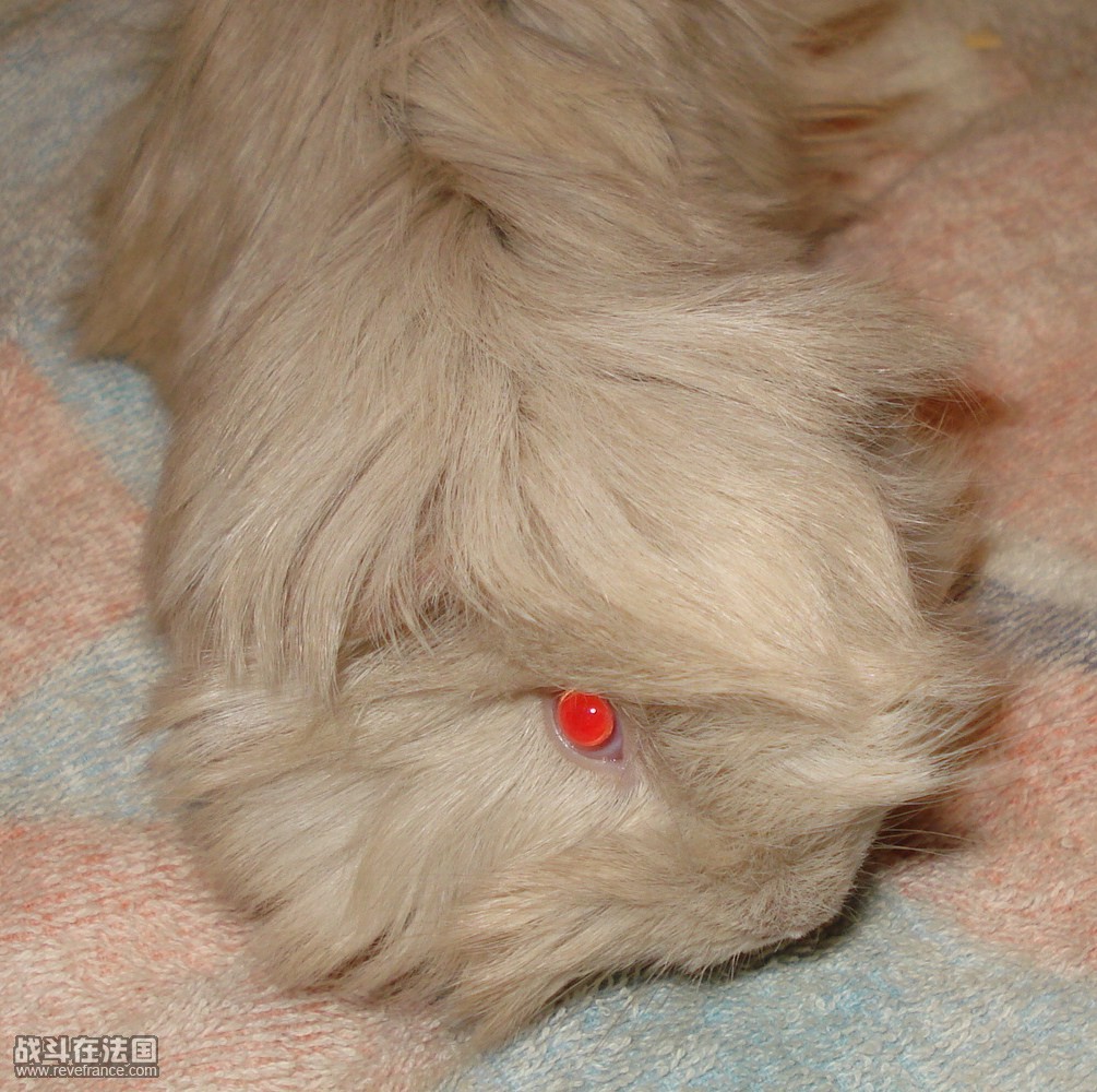 DSC01013.JPG