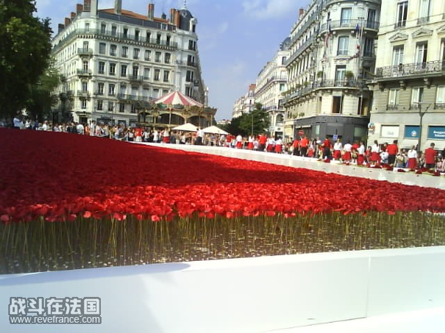 DSC02486.JPG