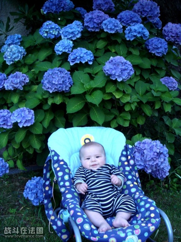 4months 033.JPG