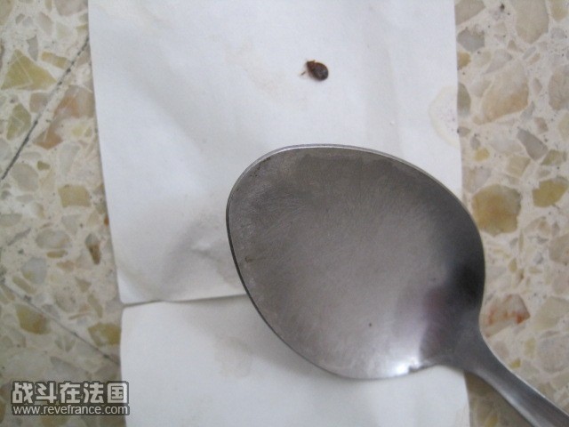 和汤勺大小对比图