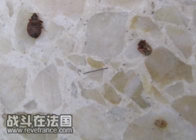 QQ截图未命名3.jpg