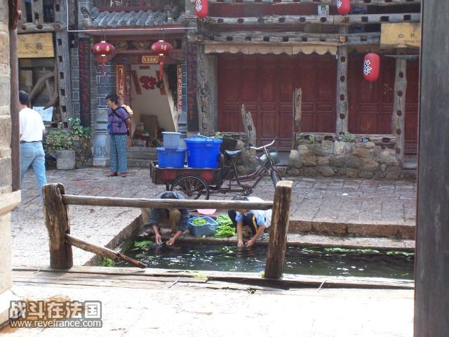 100_3437pet.jpg