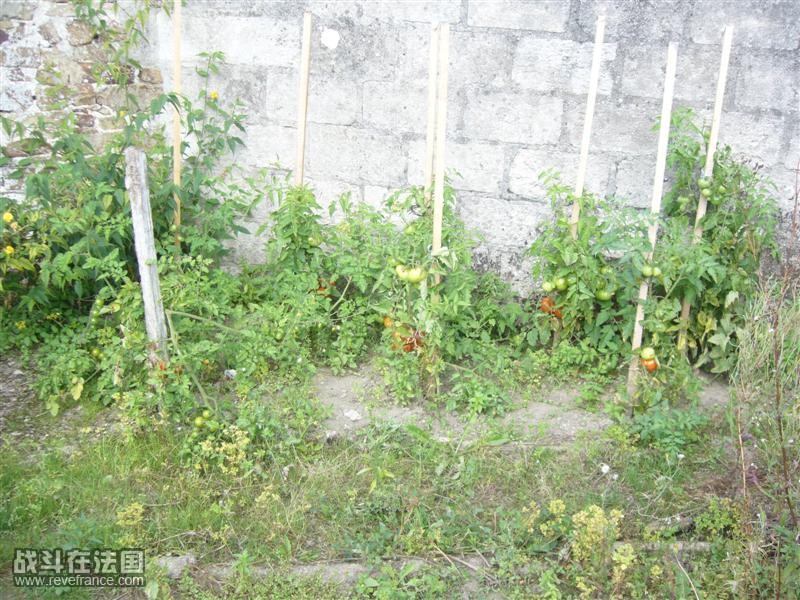 P1070093 (Medium).JPG
