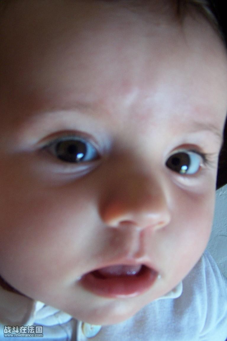 010.JPG