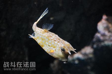 DSC_8216.JPG