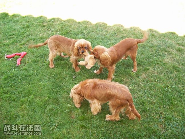 nEO_IMG_100_0466.jpg