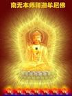 u=982291850,1916030930&fm=3&gp=49.jpg