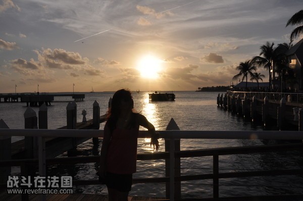 p_large_nRq7_3484d206113[1].jpg