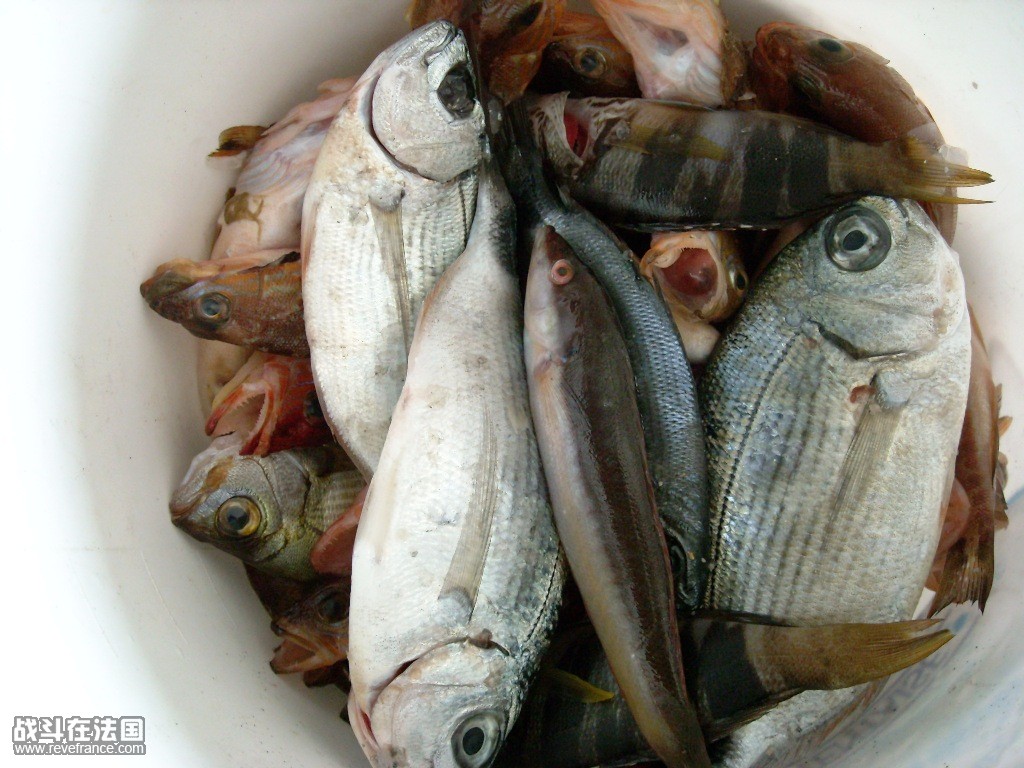 DSCN1707.JPG