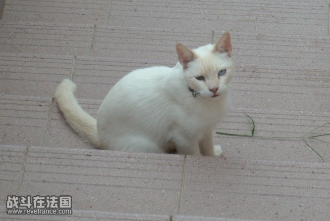 DSCN1710.JPG