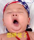u=1441836438,212056864&fm=0&gp=32.jpg