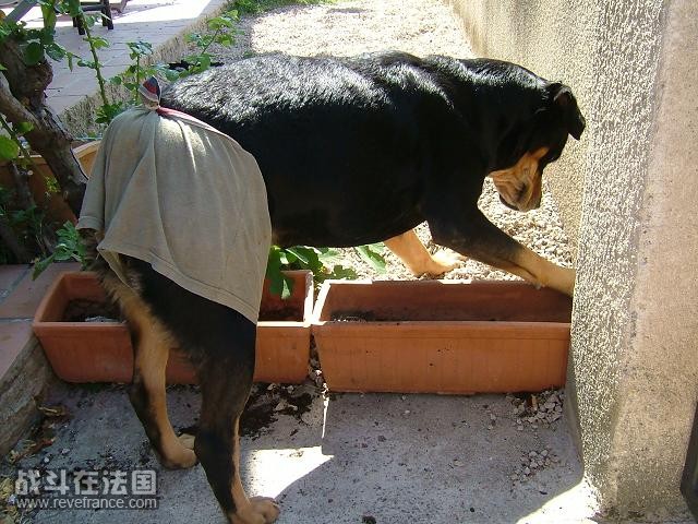 DSCF3483.jpg