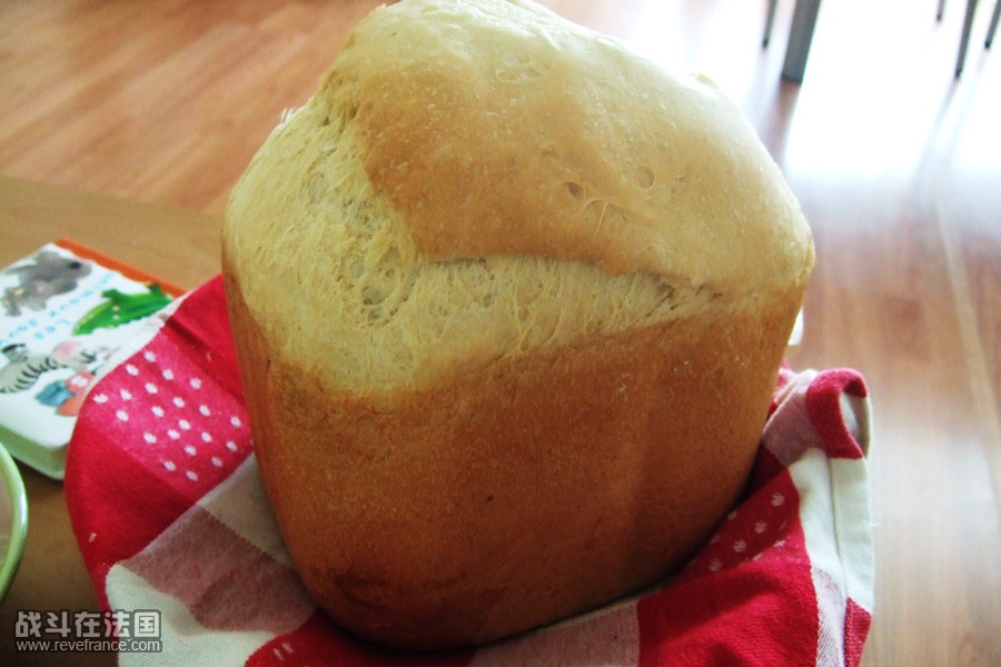 poolish1.jpg