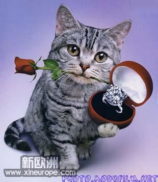 ol9_photo_qq_com.jpg