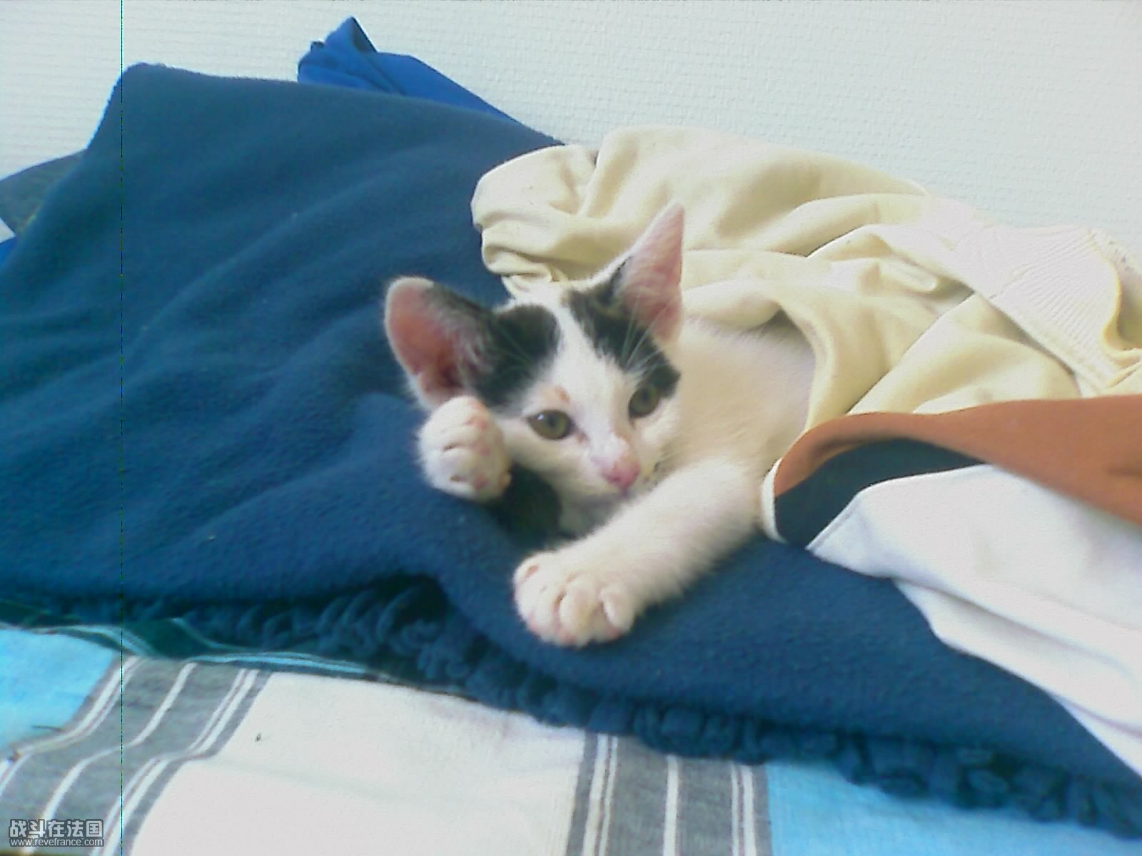 200909191811_034.jpg