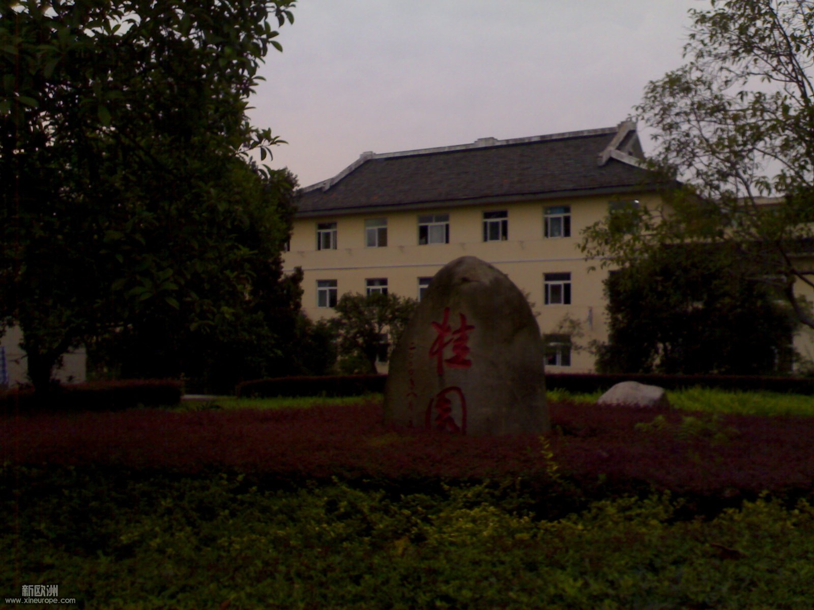 30062007446.jpg
