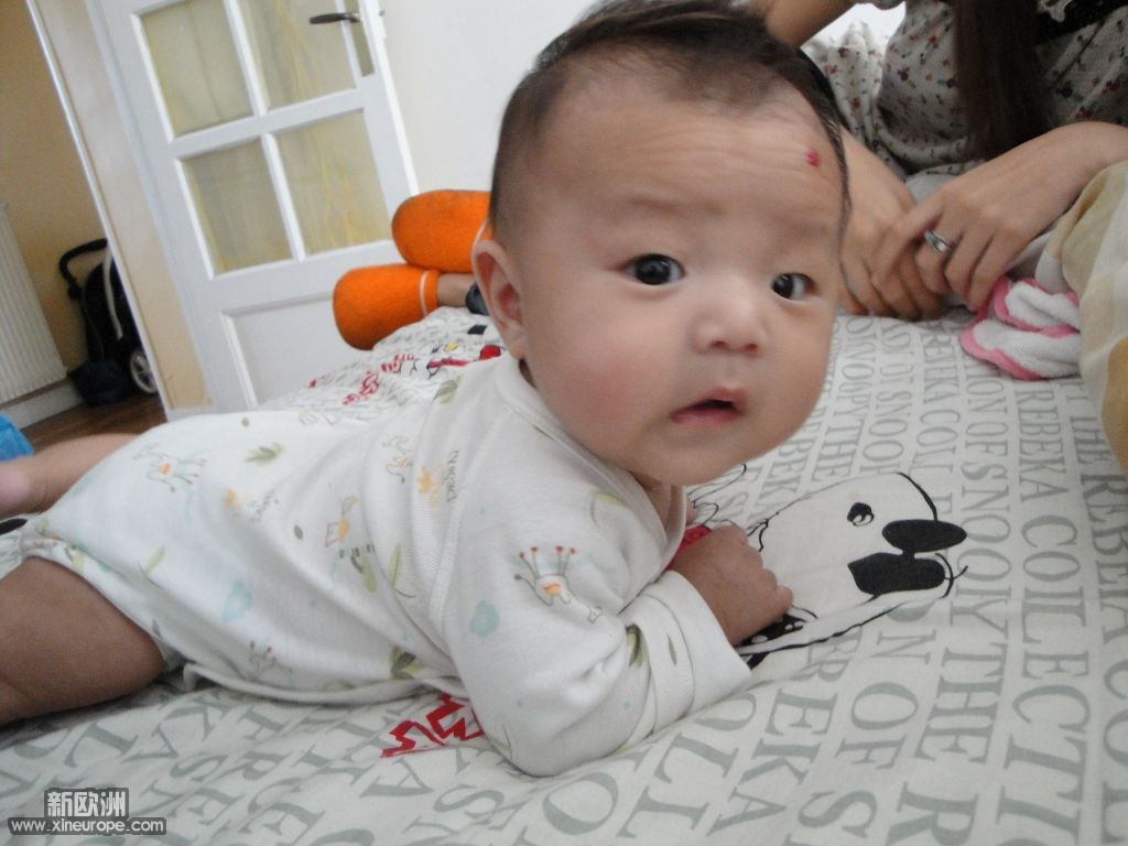 DSC01021.jpg