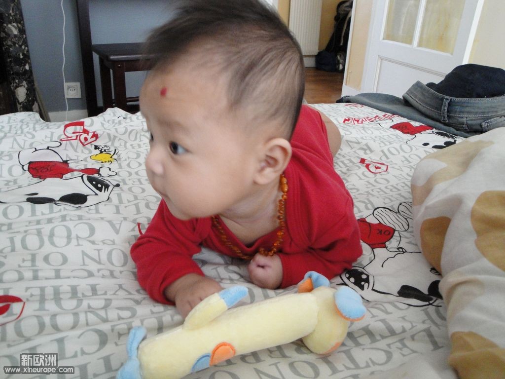 DSC01111.jpg