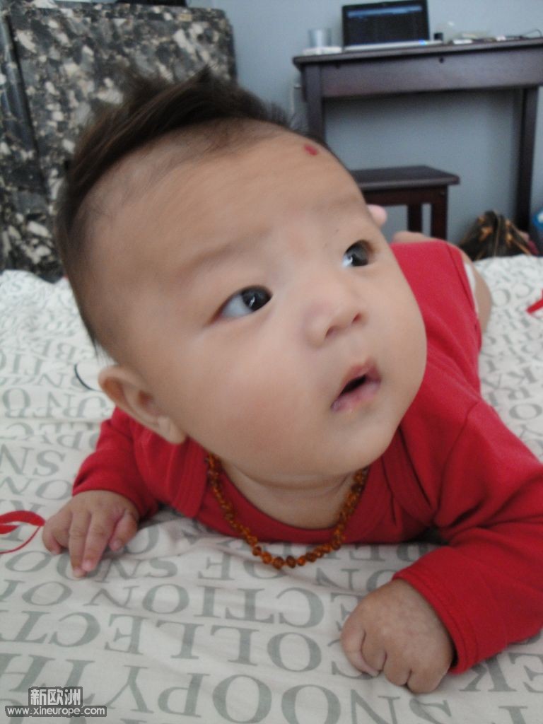 DSC01083.jpg