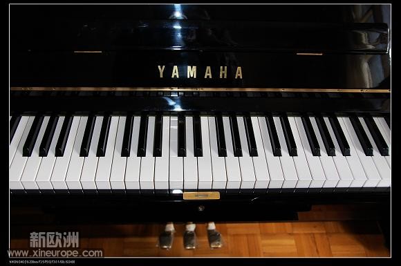 yinyin 508.jpg