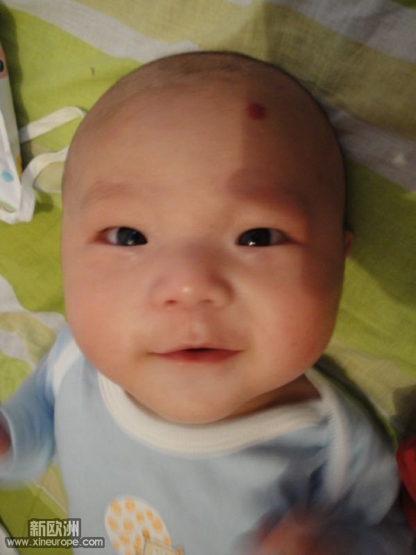 DSC01435.jpg