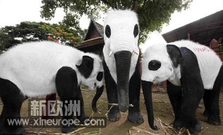 TM截图未命名.jpg
