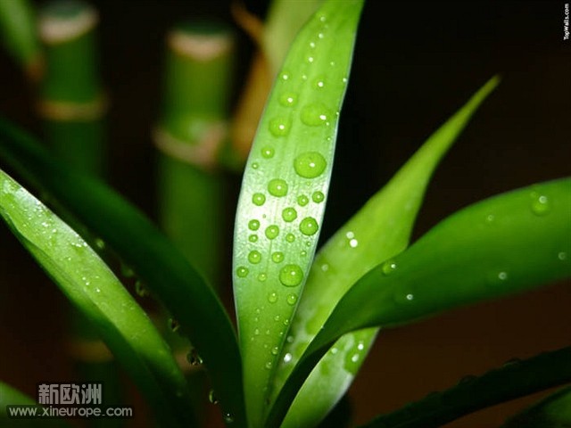 b_D798E00F279DC725F043A3514189CD68.jpg
