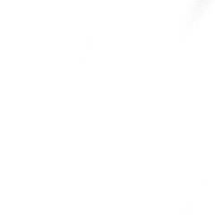 1.gif