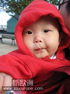 IMG_8658_conew1.jpg